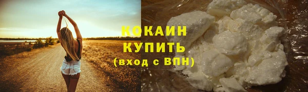 прущие крисы Гусев