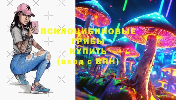 твердый Гусь-Хрустальный