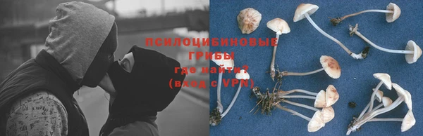 альфа пвп Дмитриев