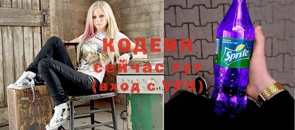 твердый Гусь-Хрустальный