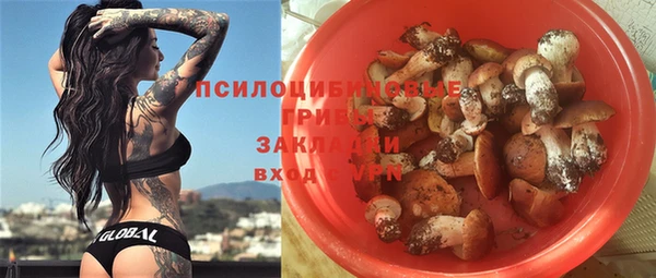 твердый Гусь-Хрустальный