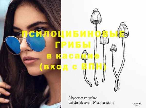 не бодяженный Дмитров