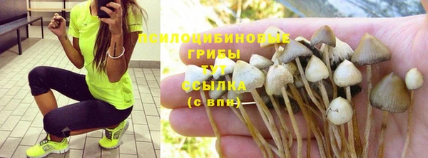 прущие крисы Гусев